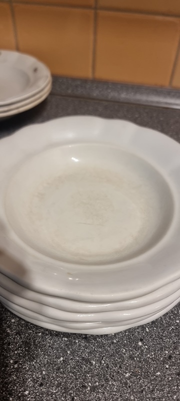 Hrubostenné taniere - 3