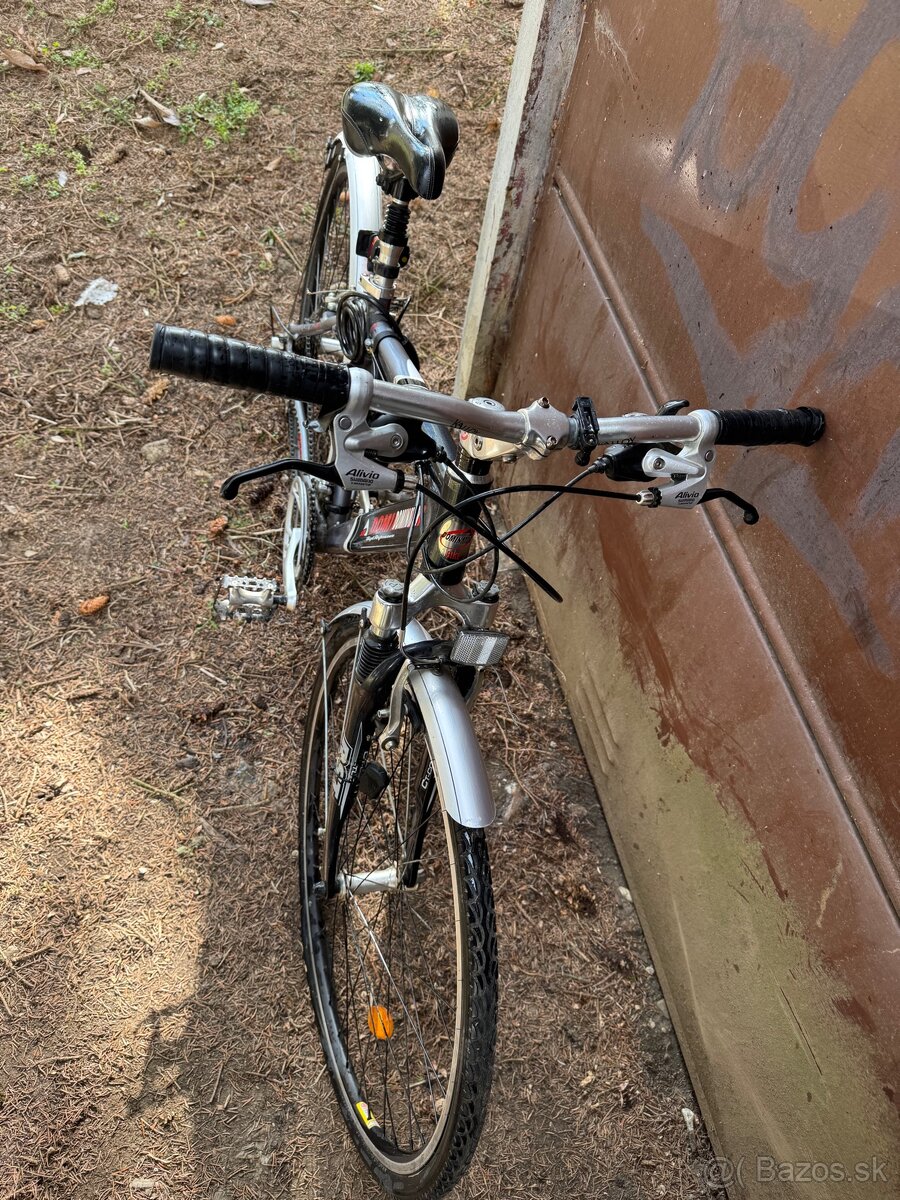 Bicykel Dominator - 3