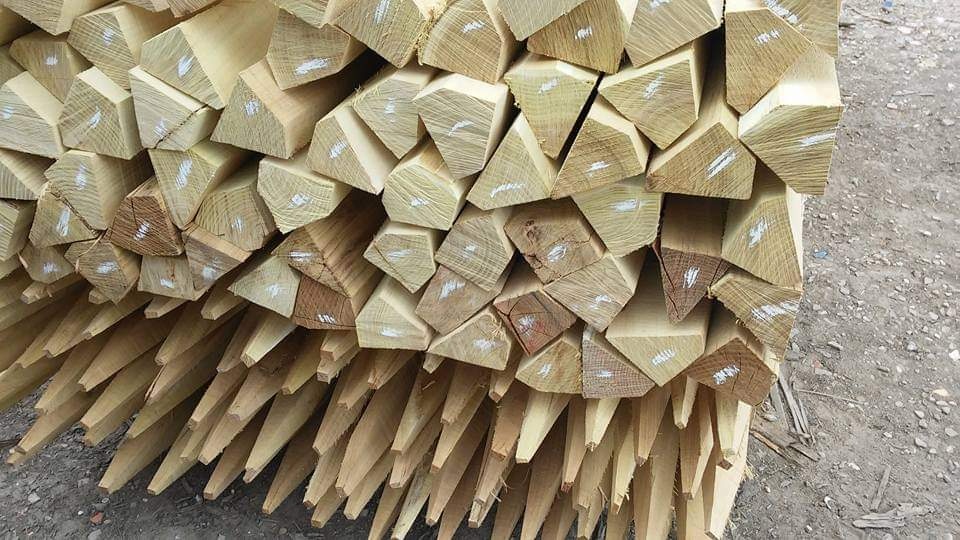 Agátove kolíky - 3