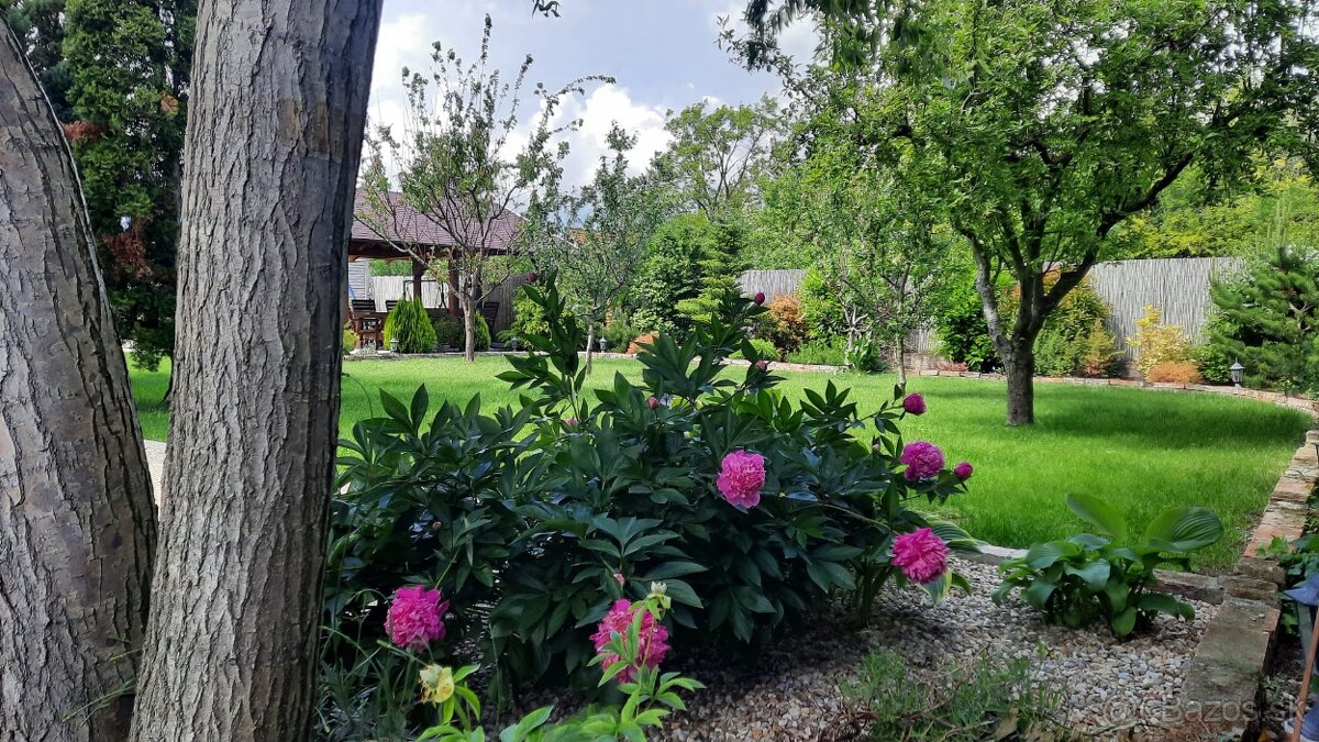 Nádherný 5iz rod dom s krásnou záhradou - 3