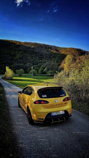 Seat leon cupra - 3