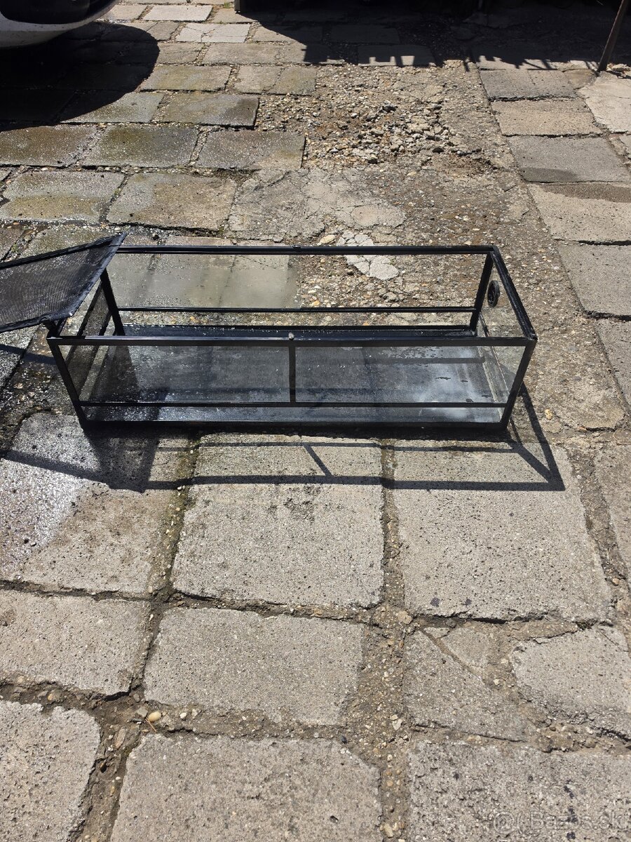Terarium - 3