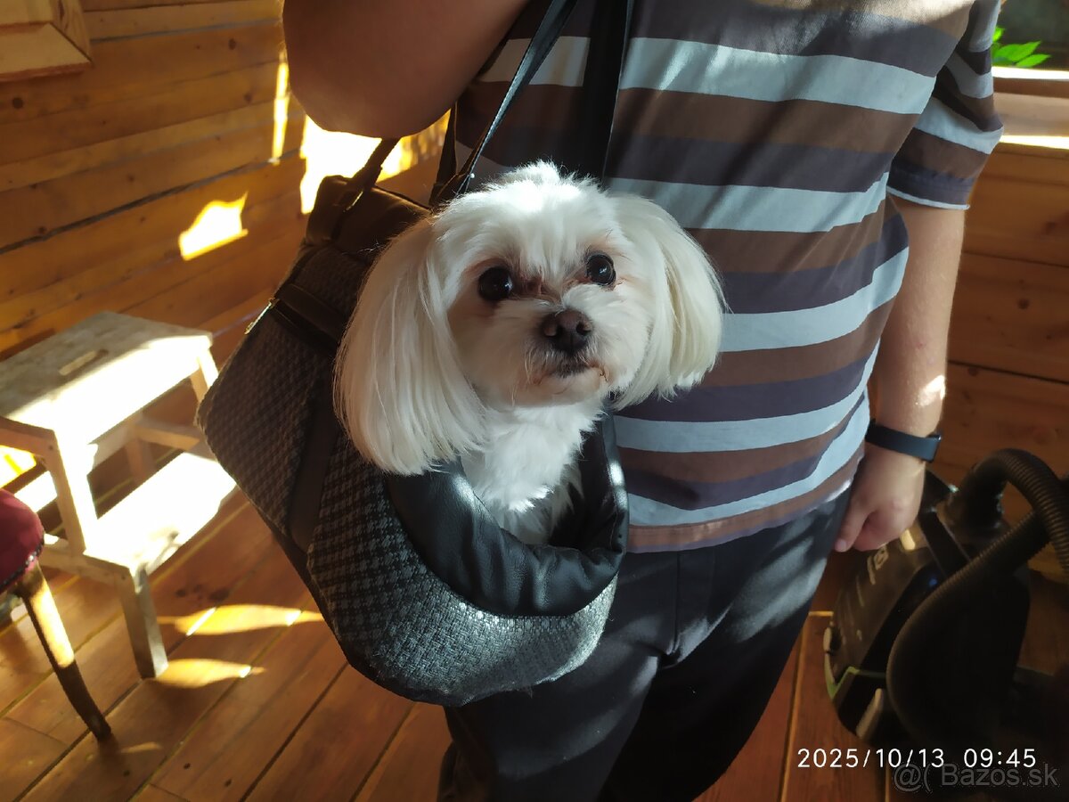 Transportná taška pre psíka - 3