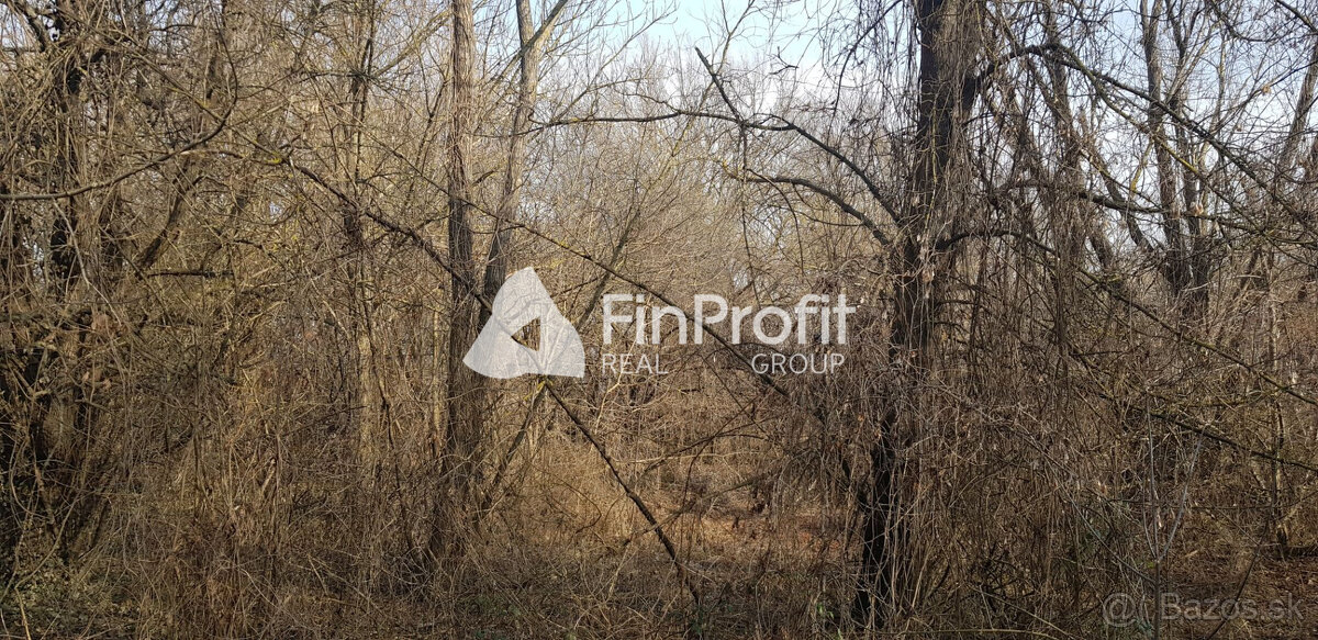 Predám stavebný pozemok Podhorany Sokolníky 5867m2. - 3