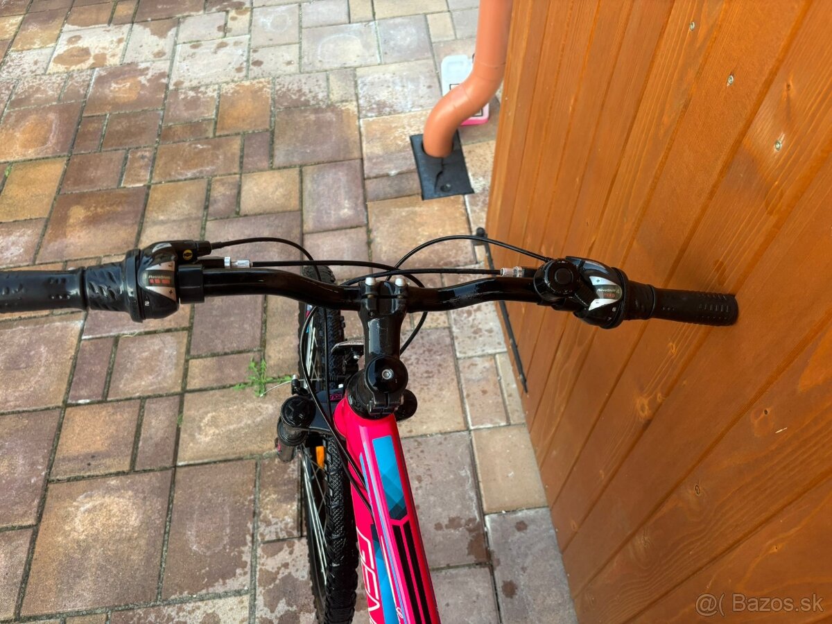 bike Genesis - 3