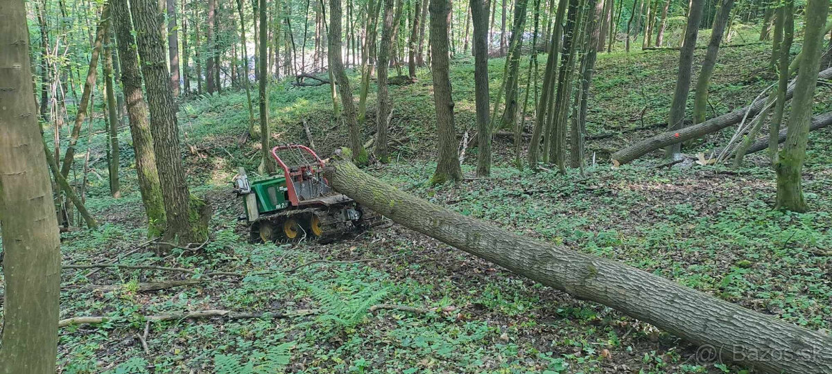 Tažba dreva - 3