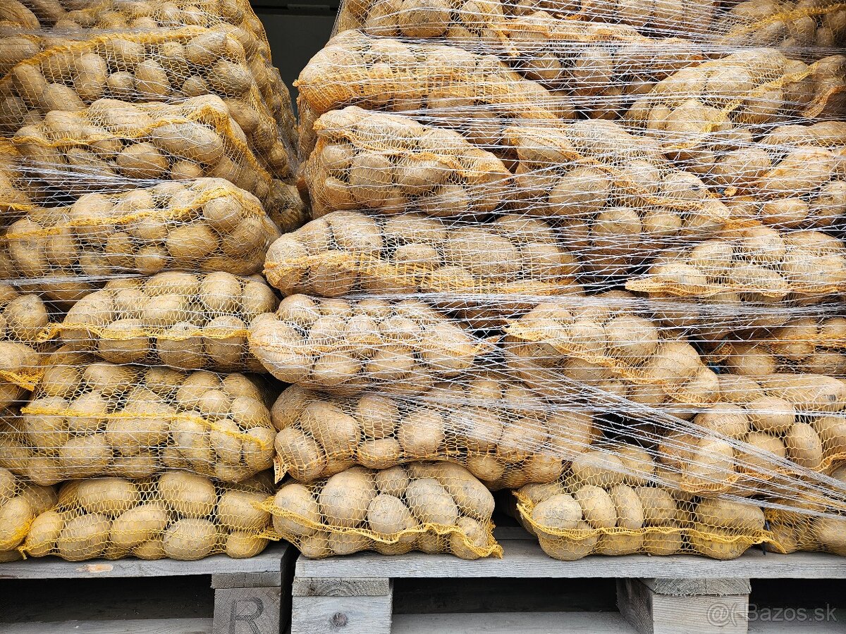 Zemiaky 0 20e/kg - 3