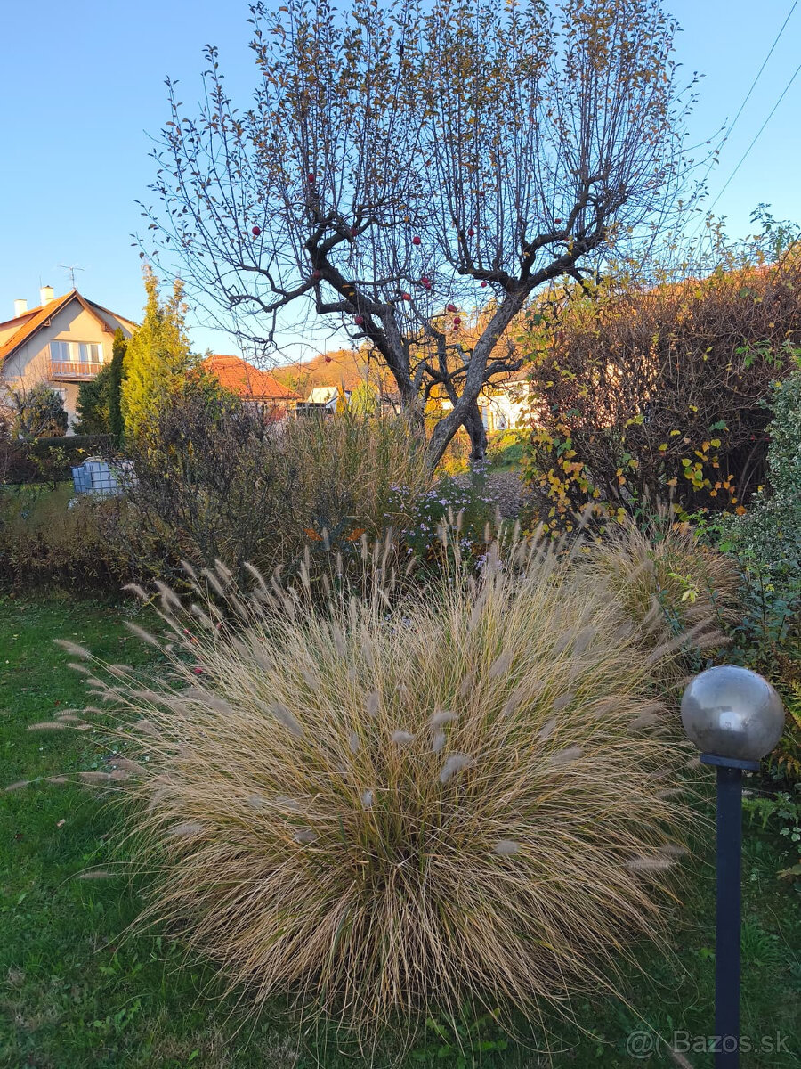 Útulný rodinný dom -Veľké Uherce okr.Partizánske - 3