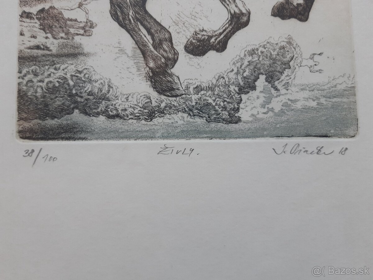 Igor Piačka – Živly - 3