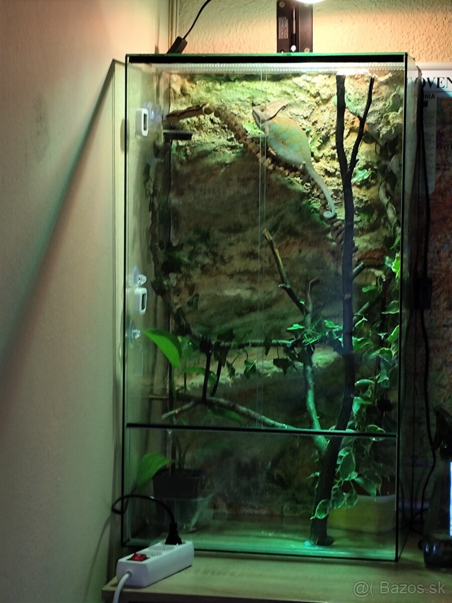 Terarium - 3
