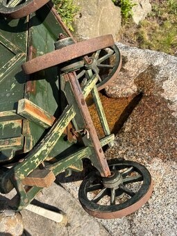 Straožitný žebřiňáček - 3