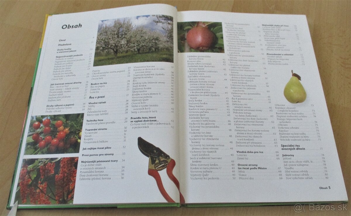 Řez ovocných stromu a keřu - 3