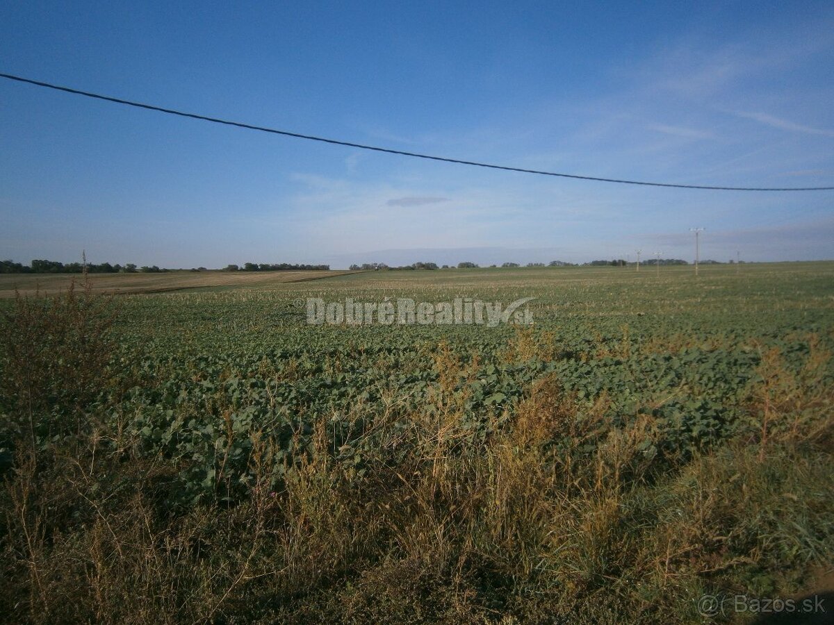 pozemok vhodný pre výstavbu rodinných domov o výmere 10 ha v - 3