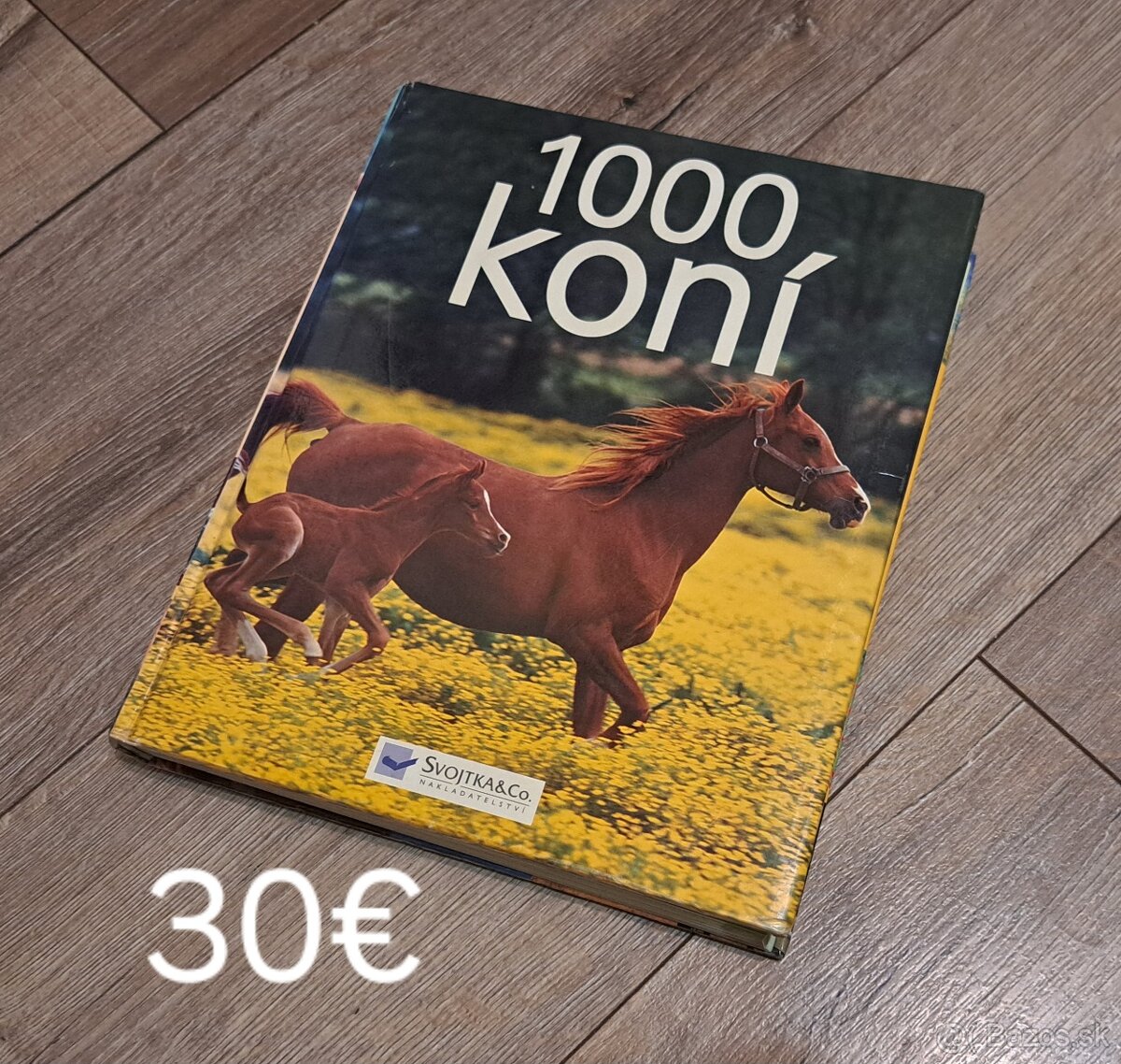 Kone, Rybárstvo - 3