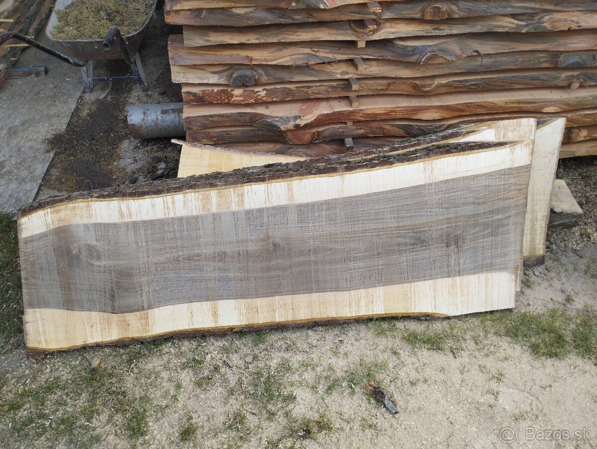 Orechové kmene, orechové fošne - 3