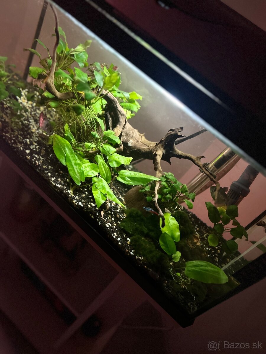 Akvárium 56l + externy filter + stojan na mieru - 3