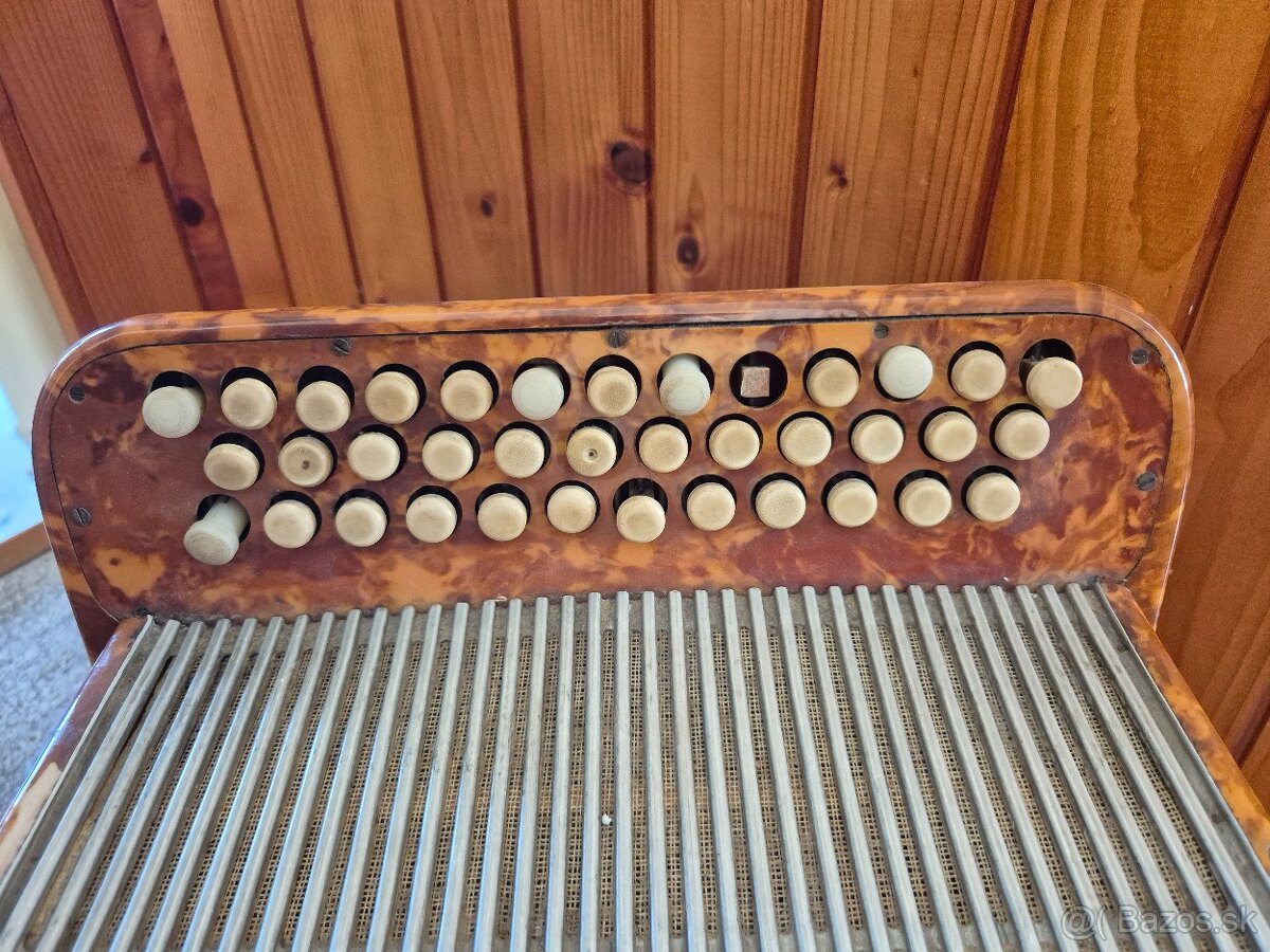 Gombíkový akordeón Ligna - 3