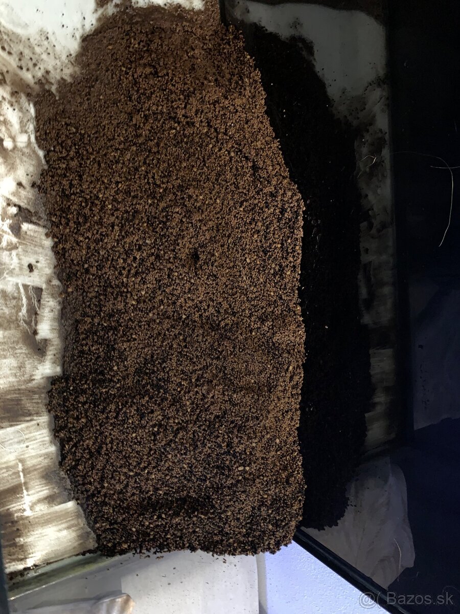 Substrát Japanese soil powde - 3