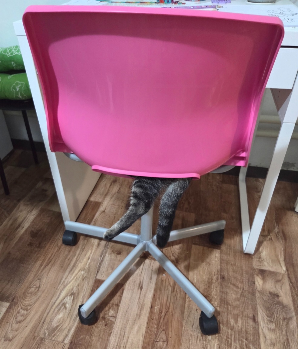 Stolička kancelárska k písaciemu stolu - 3