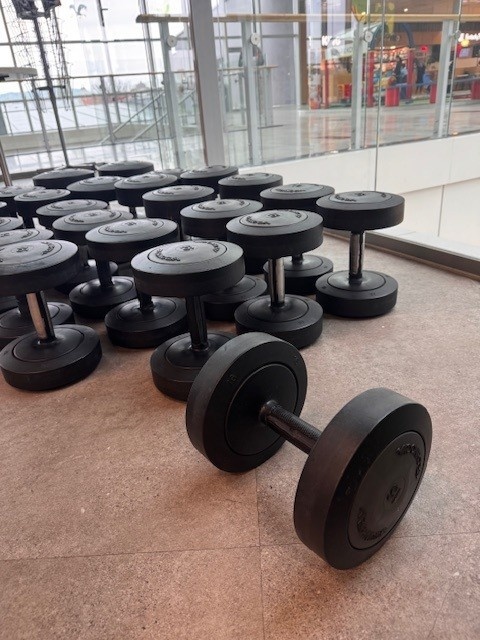 Predám polyuretánové jednoručky TECHNOGYM - 3