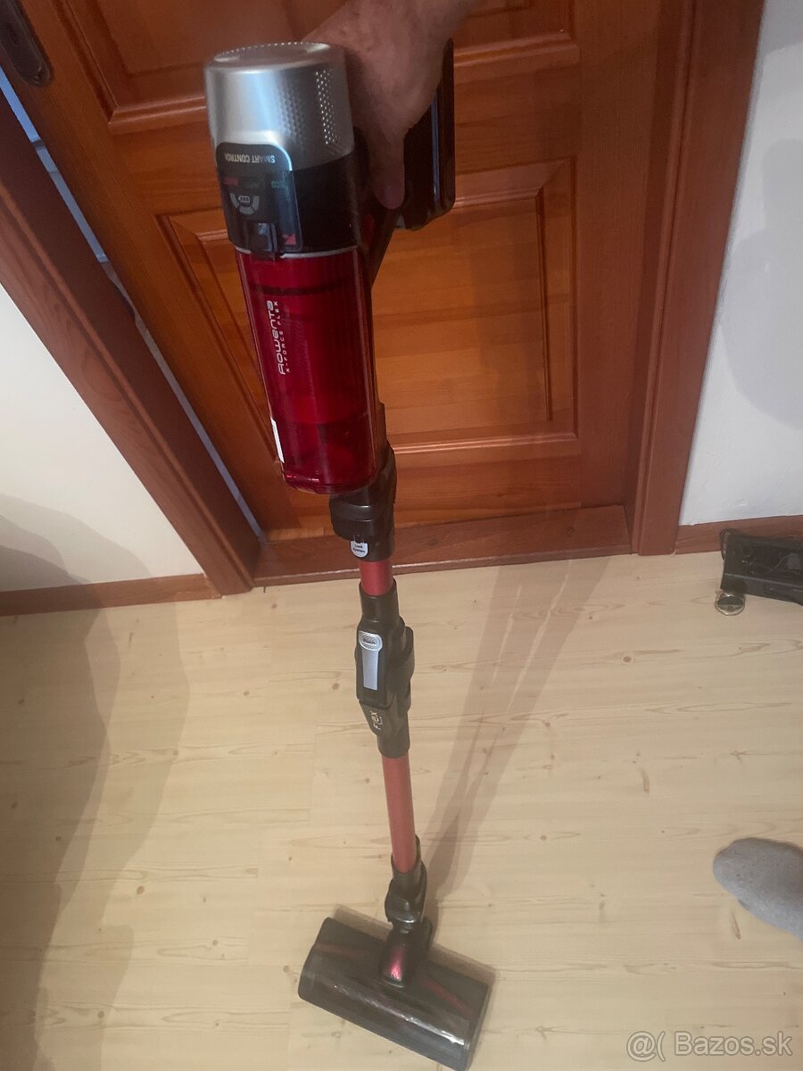 Rowenta RH2099WO X-Force Flex 9,60 - 3