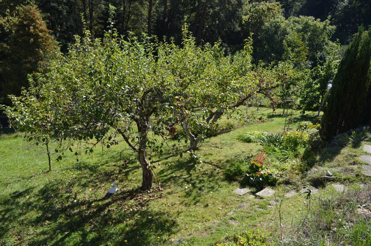 Fotografia 3