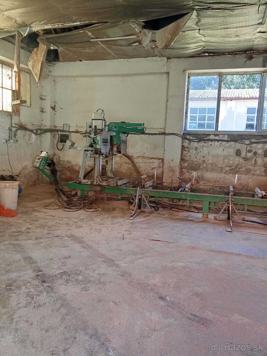 Kmeňová pásova píla. - 3