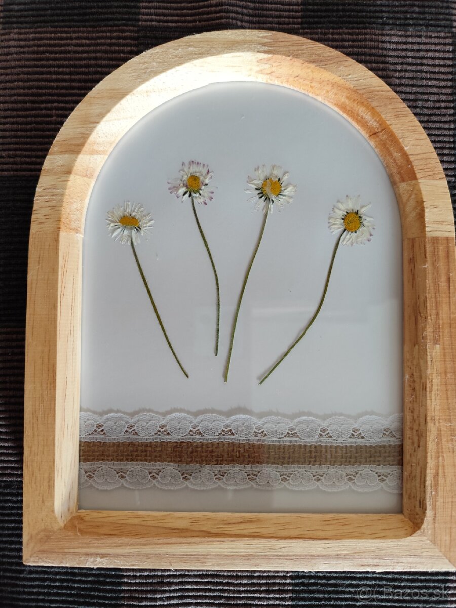 Sušené kvietky v obrazkoch - 3