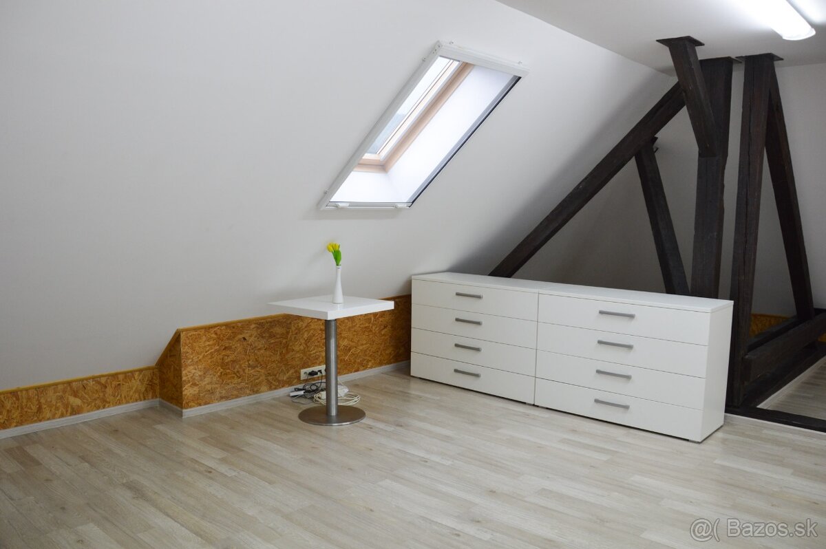 Prenajmem nebytové priestory v Žarnovici - 3