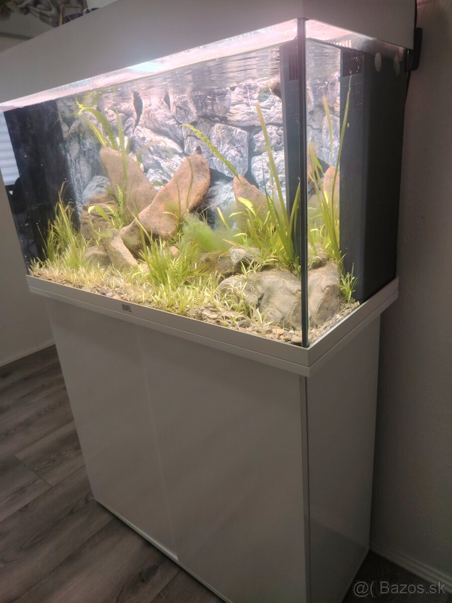 Predám akvárium Juwel 125l - 3