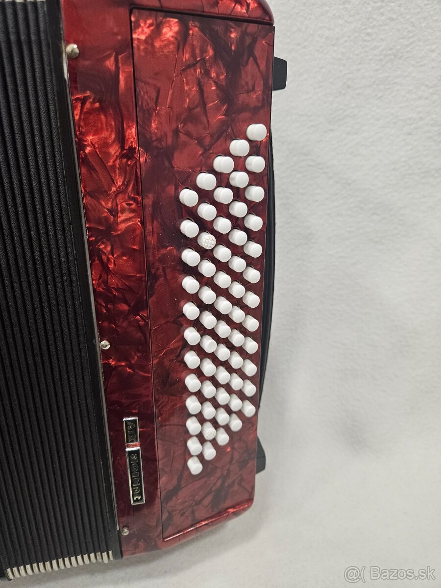 Akordeon delicia junior 60 basovy - 3