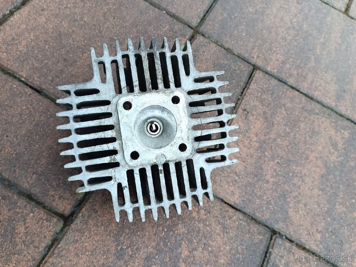 Hlava Valca Manet korado - 3