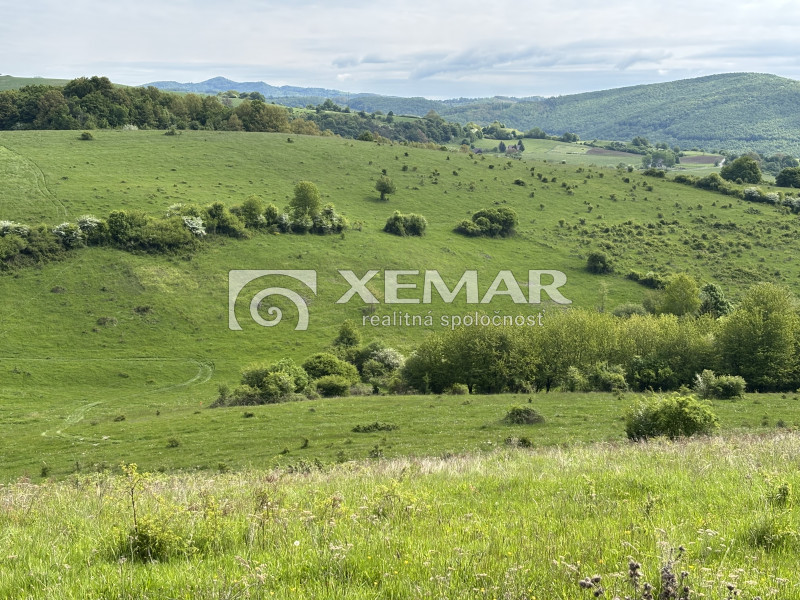 Predaj jedinečný pozemok v obci Ilija – Banská Štiavnica - 3