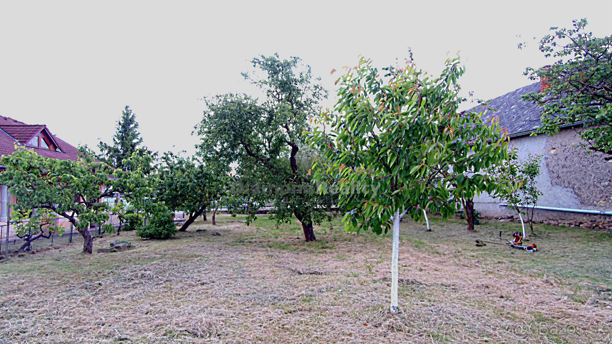 Rovinatý a slnečný pozemok v pokojnej obci Kašov - 3