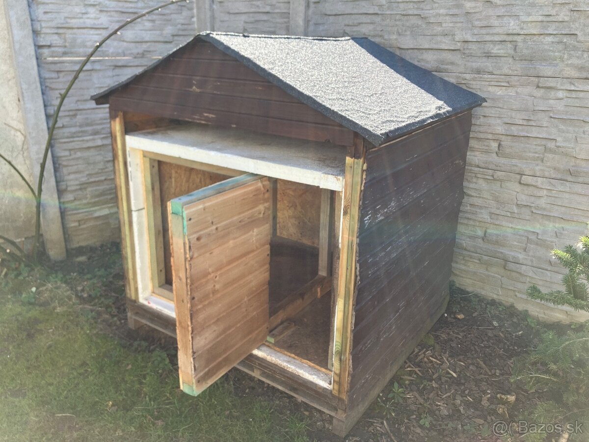 Búda pre psa - 3