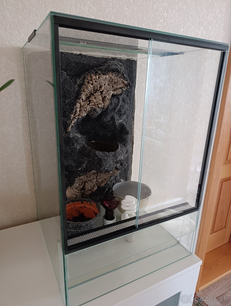 Terárium - 3
