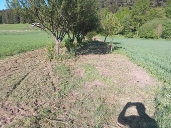 Čistenie a terénne úpravy pozemkov - 3