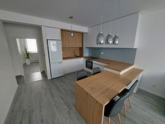 Kamenna 2 izbovy byt - 3