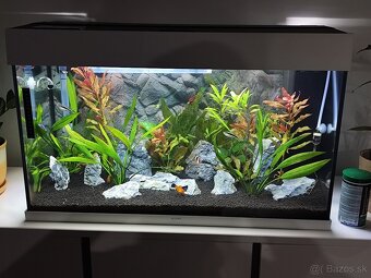 Akvárium juvel 125 - 3