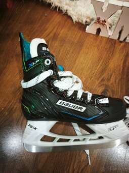 Korčule Bauer Xlp - 3