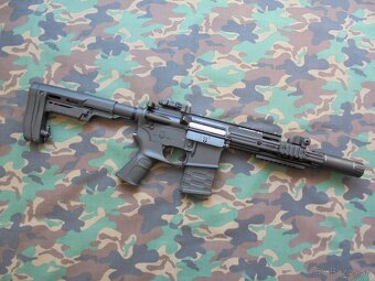 APS ASR R2 Guardian EBB AEG. - 3
