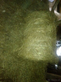 Seno malé okrúhle baliky - 3