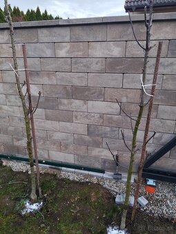 Predám plotové tvárnice - 3