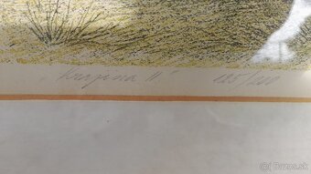 obraz krajinka Anna Hanzlova - 3