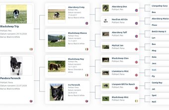 Border kólia - s PP(ISDS) - 3