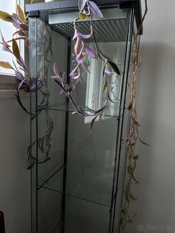 Grow light LED vitrina - 3