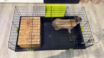 Klietka pre králika - 3