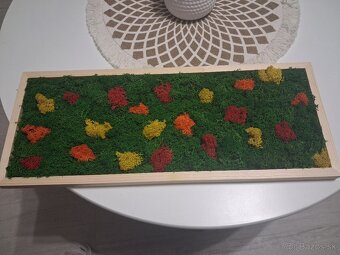 Machový obraz Lúka - 3