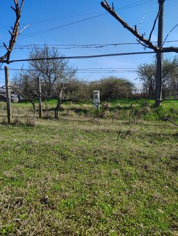 Pozemok v srdci vinárskej obci Moča, KN Lepšia cena - 3