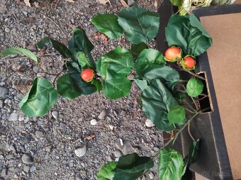 Umelé kvety na dekorácie/kytice - 3